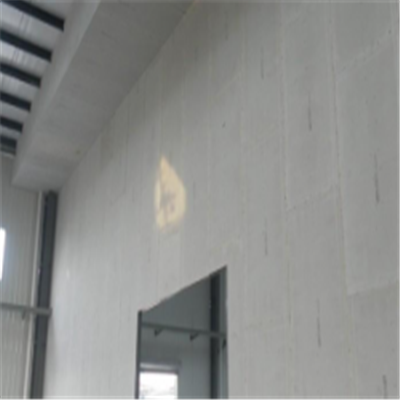 汶川宁波ALC板|EPS加气板隔墙与混凝土整浇联接的实验研讨